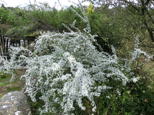 c0156104_2140167.jpg
