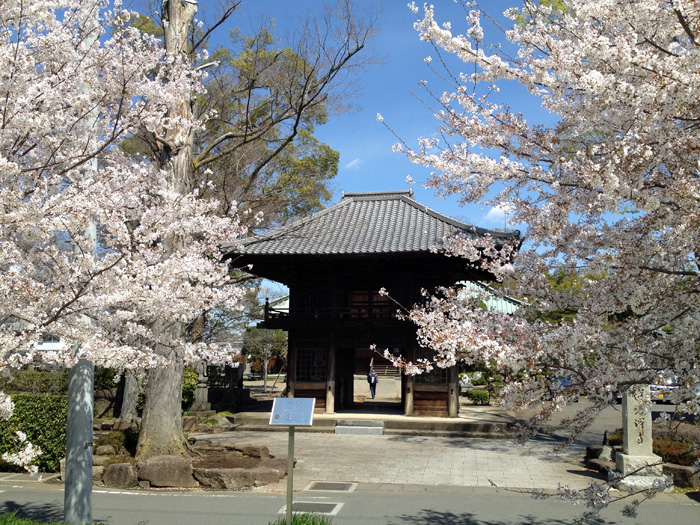 桜並木の新河岸川、蓮光寺を散歩_a0000006_2320699.jpg