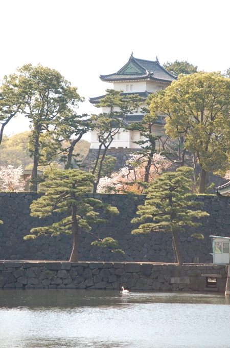 e0082110_2247288.jpg