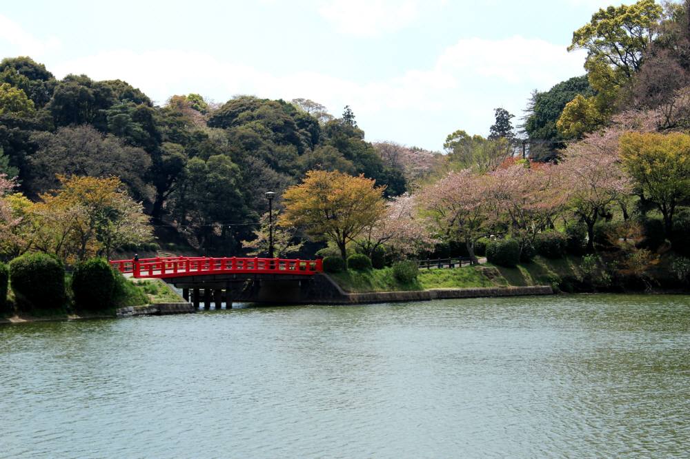 f0212511_23884.jpg