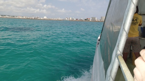 b0061413_03054.jpg