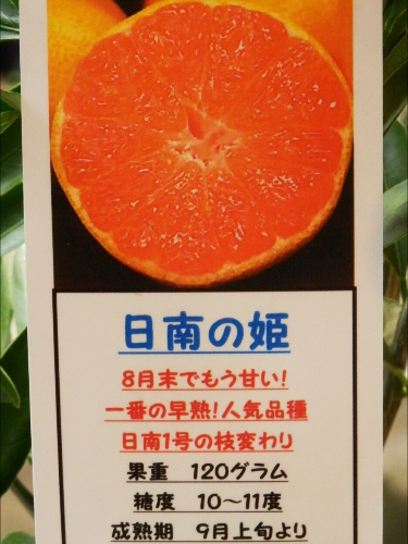 b0099813_041217.jpg