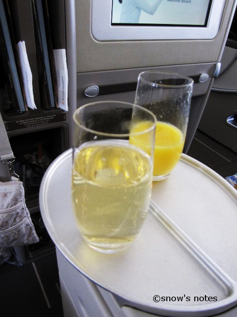 Air France 【エールフランス プレミアムエコノミーとビジネス】_f0218513_0192277.jpg