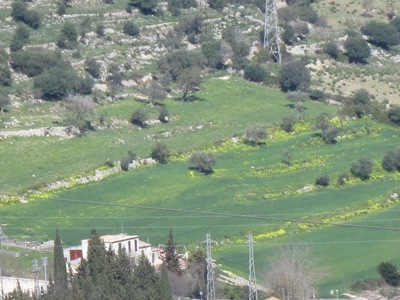 f0133814_8234078.jpg