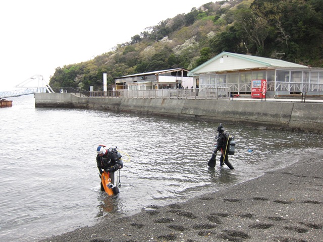 ドタバタ大瀬崎の巻_c0211615_0294349.jpg