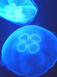 e0114015_17294100.jpg