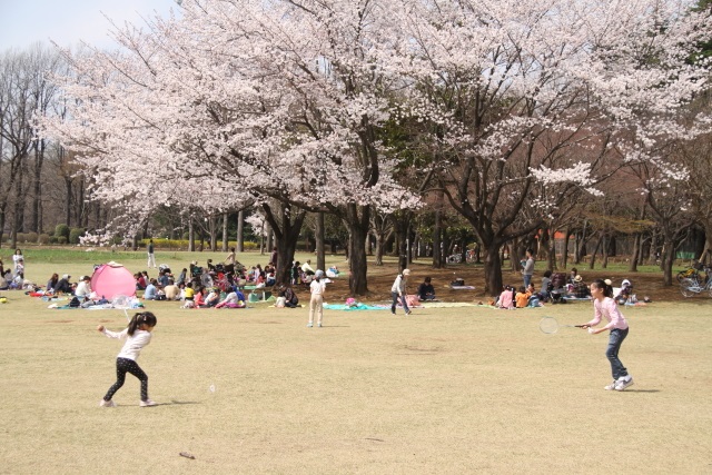 小金井公園で孫と遊ぶ_d0026817_2001763.jpg