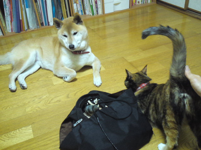 a0206019_00591311.jpg