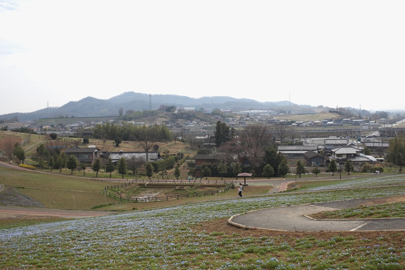 a0243720_14150876.jpg