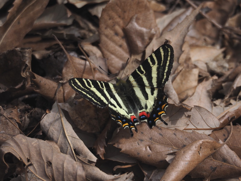 f0330321_20591430.jpg