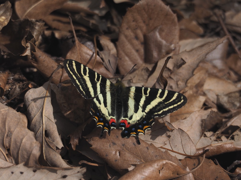 f0330321_2059794.jpg