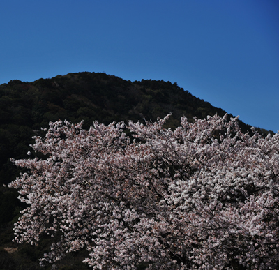 b0169522_20233420.jpg