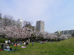e0047322_22483473.png