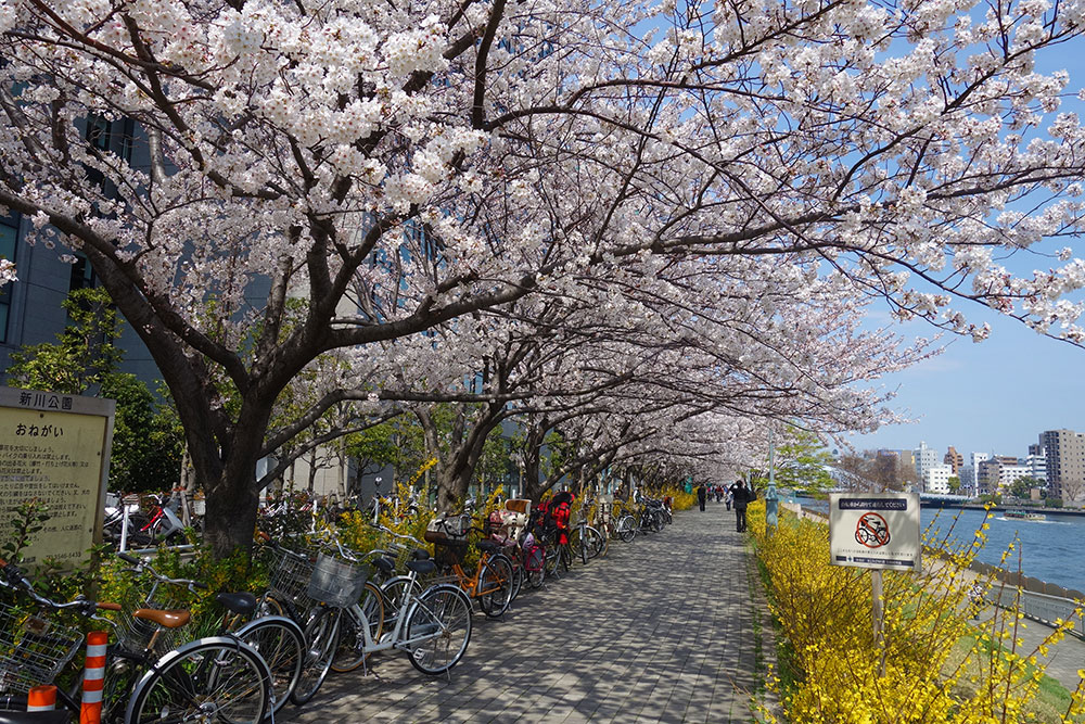 あっという間に４月ですね。_f0034922_1225188.jpg