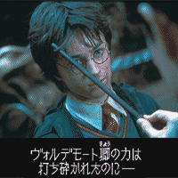 a0118823_2383869.gif