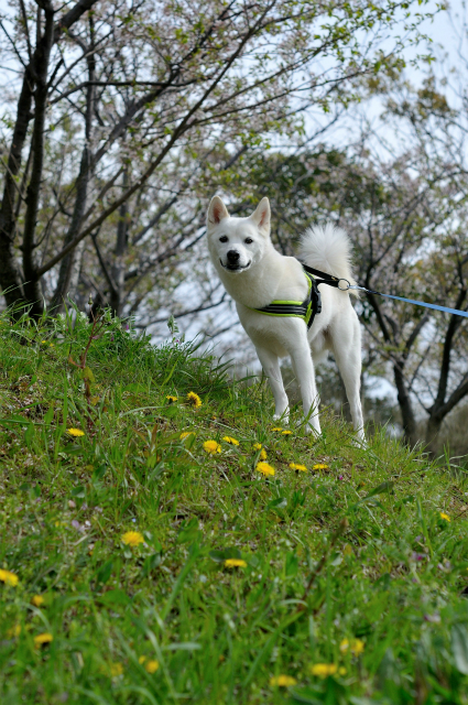 a0047325_2361658.jpg