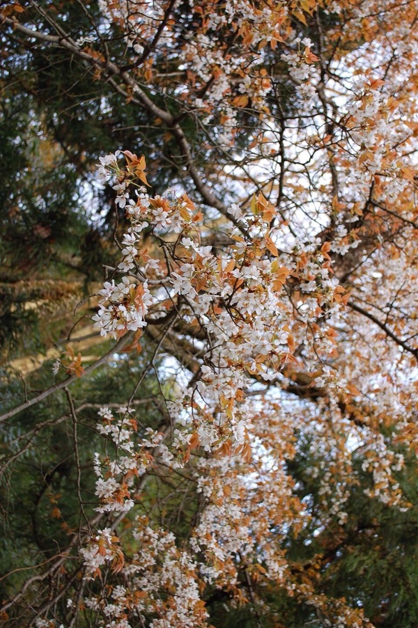 b0097729_18561754.jpg