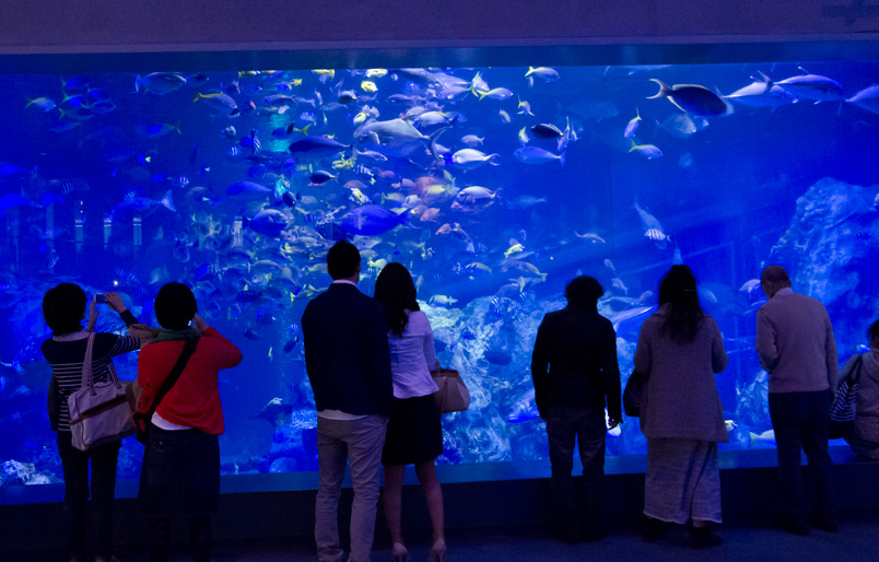 鳥羽水族館_b0125434_1553755.jpg