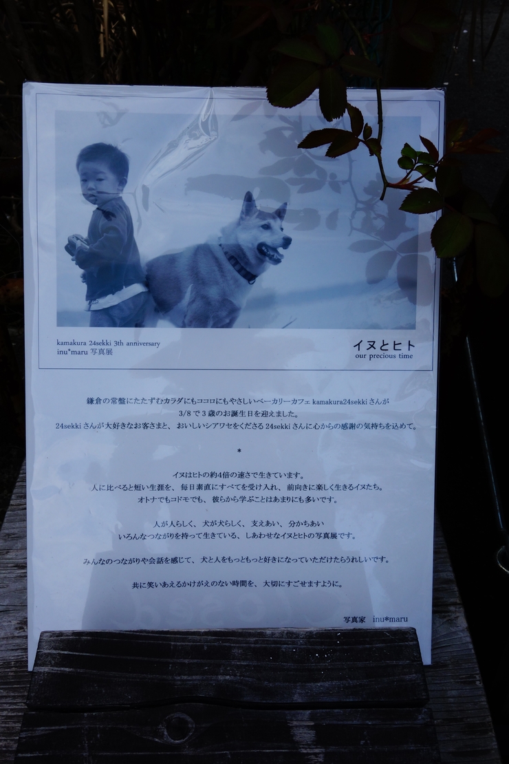 kamakura 24sekki（鎌倉二十四節気） 鎌倉市常盤/ヴィーガンカフェ～江ノ島からぶらぶら その15_a0287336_138091.jpg