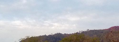 b0063436_10272635.jpg