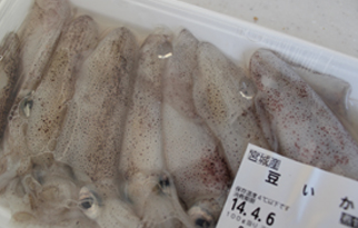 超簡単 煮るだけ 豆イカの煮物 14年版 あぼんちのぼぼっとつくろう boboごはん 超簡単 煮るだけ 豆イカの煮物 14年版 あぼんちのぼぼっとつくろう boboごはん