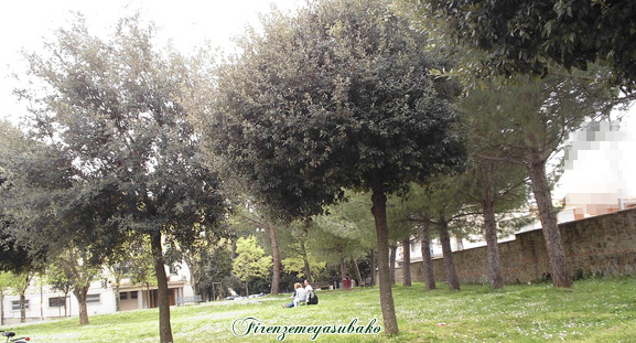 b0302939_18423094.png