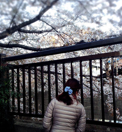 b0251742_09571015.jpeg