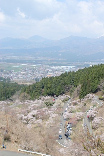 d0073342_10964.jpg