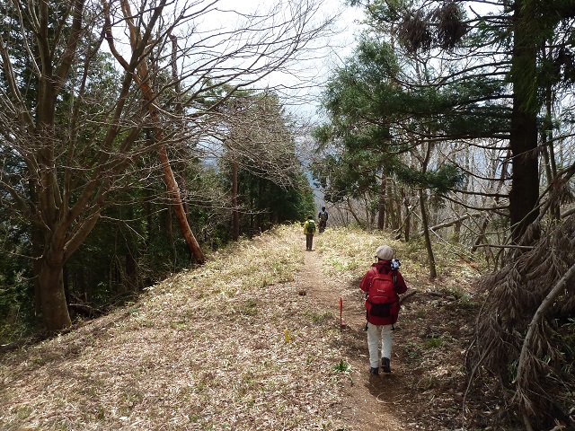 4/5　スミレオフ会＠小仏城山～高尾山_d0288144_17023186.jpg