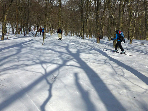 c0081645_2315599.jpg