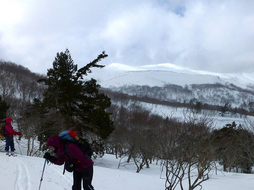c0081645_2332833.jpg