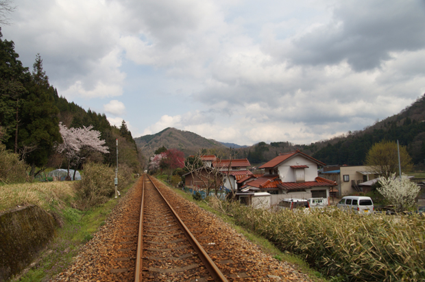 美郷町をお花見＾＾_f0214649_5132760.jpg