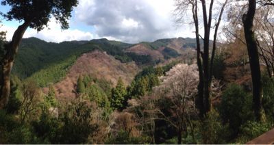吉野の桜と天河神社_a0119753_22404083.jpg