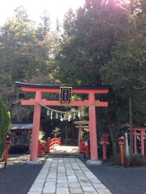 吉野の桜と天河神社_a0119753_22404484.jpg