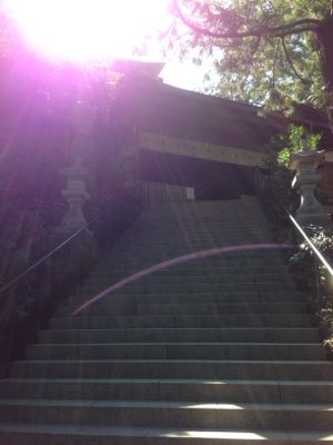 吉野の桜と天河神社_a0119753_22404692.jpg