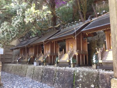 吉野の桜と天河神社_a0119753_22404882.jpg