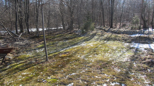 b0247153_05154250.jpg