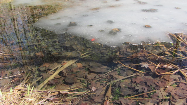 b0247153_05235369.jpg