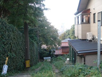 f0329554_08355066.jpg