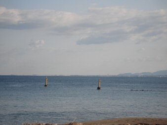 f0329554_08445055.jpg