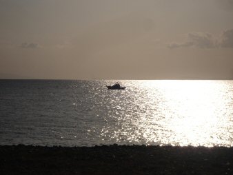 f0329554_08465556.jpg
