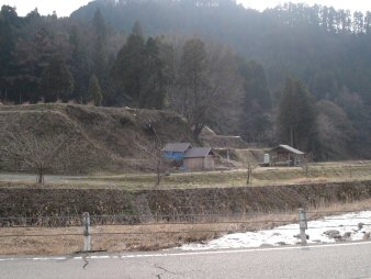 f0329554_19510322.jpg