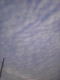 a0117358_23465373.jpg