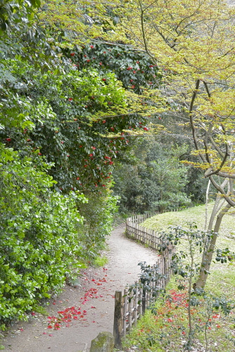 栗林公園　桜以外の花たち_d0063558_15094995.jpg