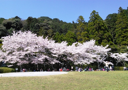 a0251760_010869.jpg