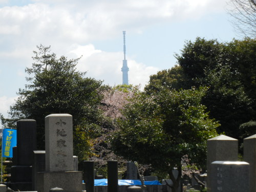 ’14,4,7(月)上野と姉と東京駅!_f0060461_10221491.jpg