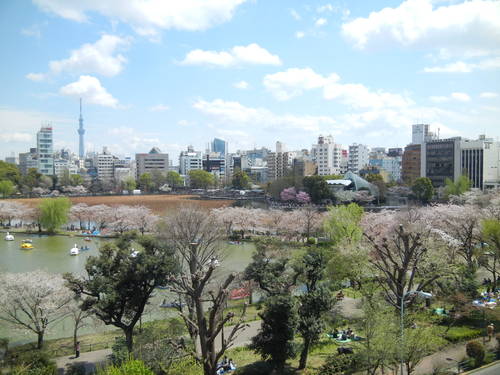 ’14,4,7(月)上野と姉と東京駅!_f0060461_10273823.jpg