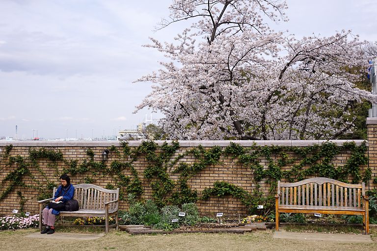 横浜　山手本通り（４月２日）_c0057265_3553726.jpg