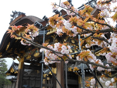 春の京都。満喫したよ☆_b0287168_20441143.jpg