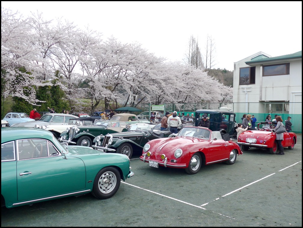 Classic Car Festival  と　お花見_c0084268_92975.jpg